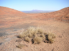 s_A_PICT0448_thumb.png